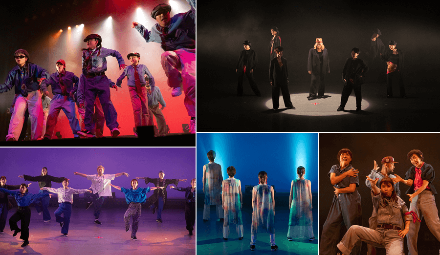 D-Collection / ディーコレクションイメージ