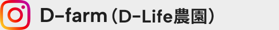 D-farm INSTAGRAM