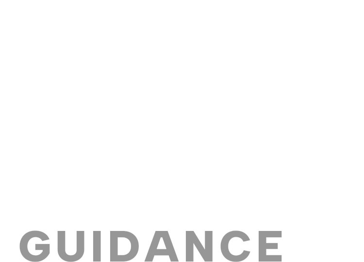 GUIDANCE